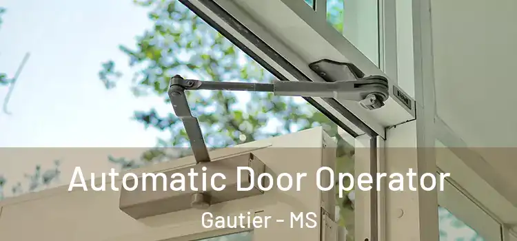 Automatic Door Operator Gautier - MS