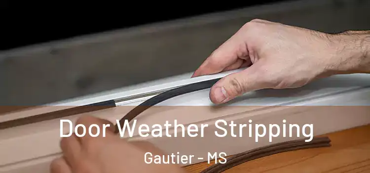 Door Weather Stripping Gautier - MS