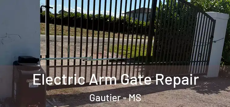  Electric Arm Gate Repair Gautier - MS
