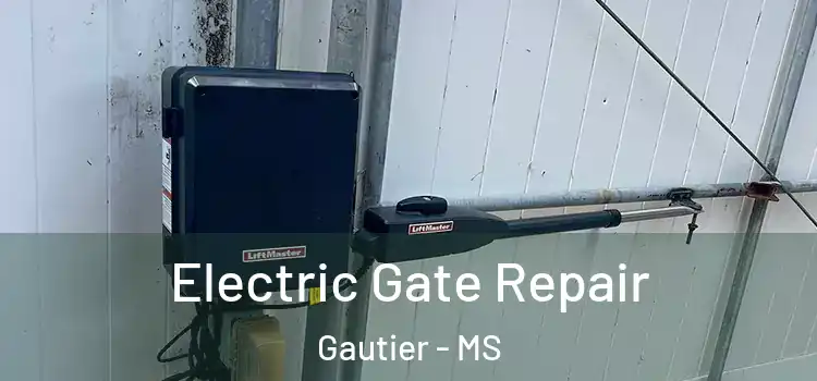 Electric Gate Repair Gautier - MS