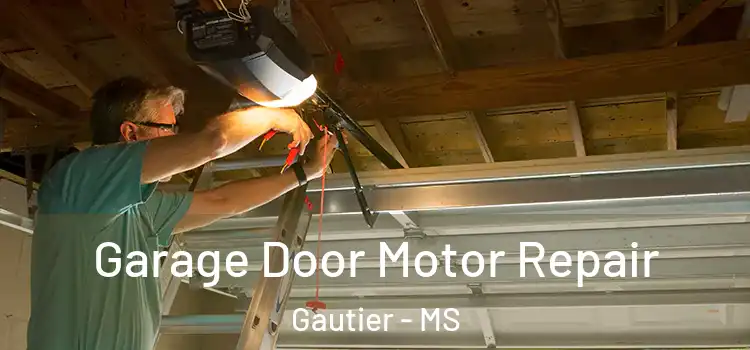  Garage Door Motor Repair Gautier - MS