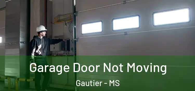  Garage Door Not Moving Gautier - MS