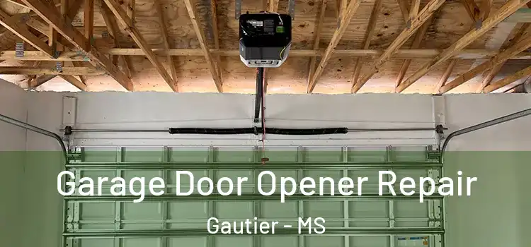  Garage Door Opener Repair Gautier - MS