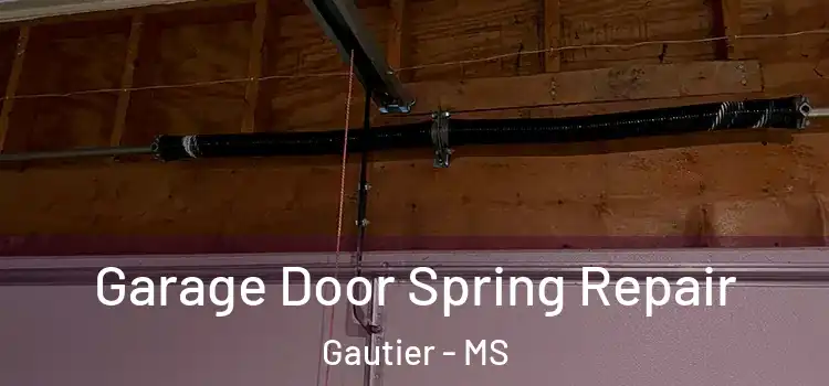  Garage Door Spring Repair Gautier - MS
