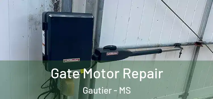 Gate Motor Repair Gautier - MS