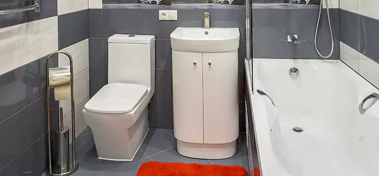 Hansgrohe Shaving Mirror Gautier