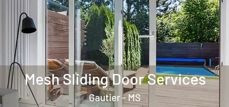  Mesh Sliding Door Services Gautier - MS
