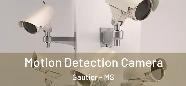  Motion Detection Camera Gautier - MS